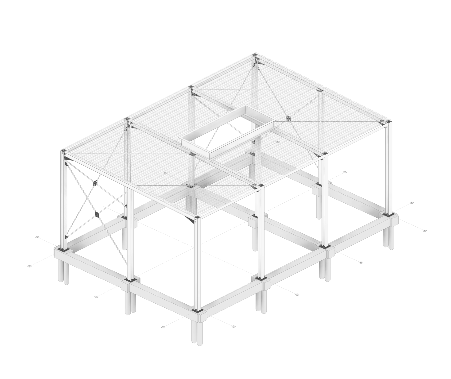 Structural 3D revit
